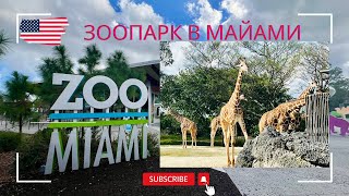 видео: 🇺🇸 Самый Большой Зоопарк во Флориде🏝️ картинка: 🇺🇸 Самый Большой Зоопарк во Флориде🏝️