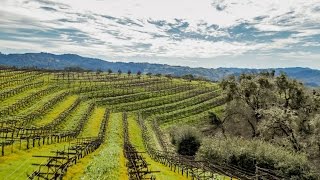 The estate is situated in california???s renowned anderson valley
where world class vineyards meet coastal redwoods. leaving floor you
ascend oa...
