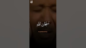 تلاوة تذيب القلوب للشيخ عبدالباسط عبدالصمد رحمه الله #تلاوة_خاشعة #عبدالباسط_عبدالصمد