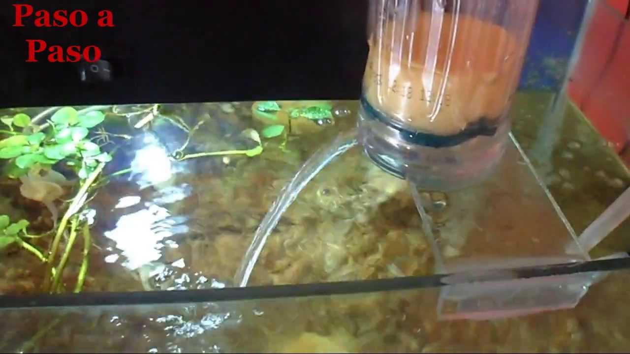 Mucho Dalset transfusión Como hacer un filtro para acuario casero - YouTube