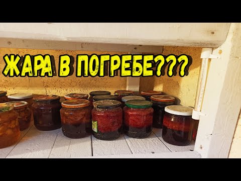 Какая температура у нас в погребе?
