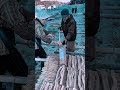 Traditional Japanese Jelly Process : Precision Handcrafted Fiber Drying