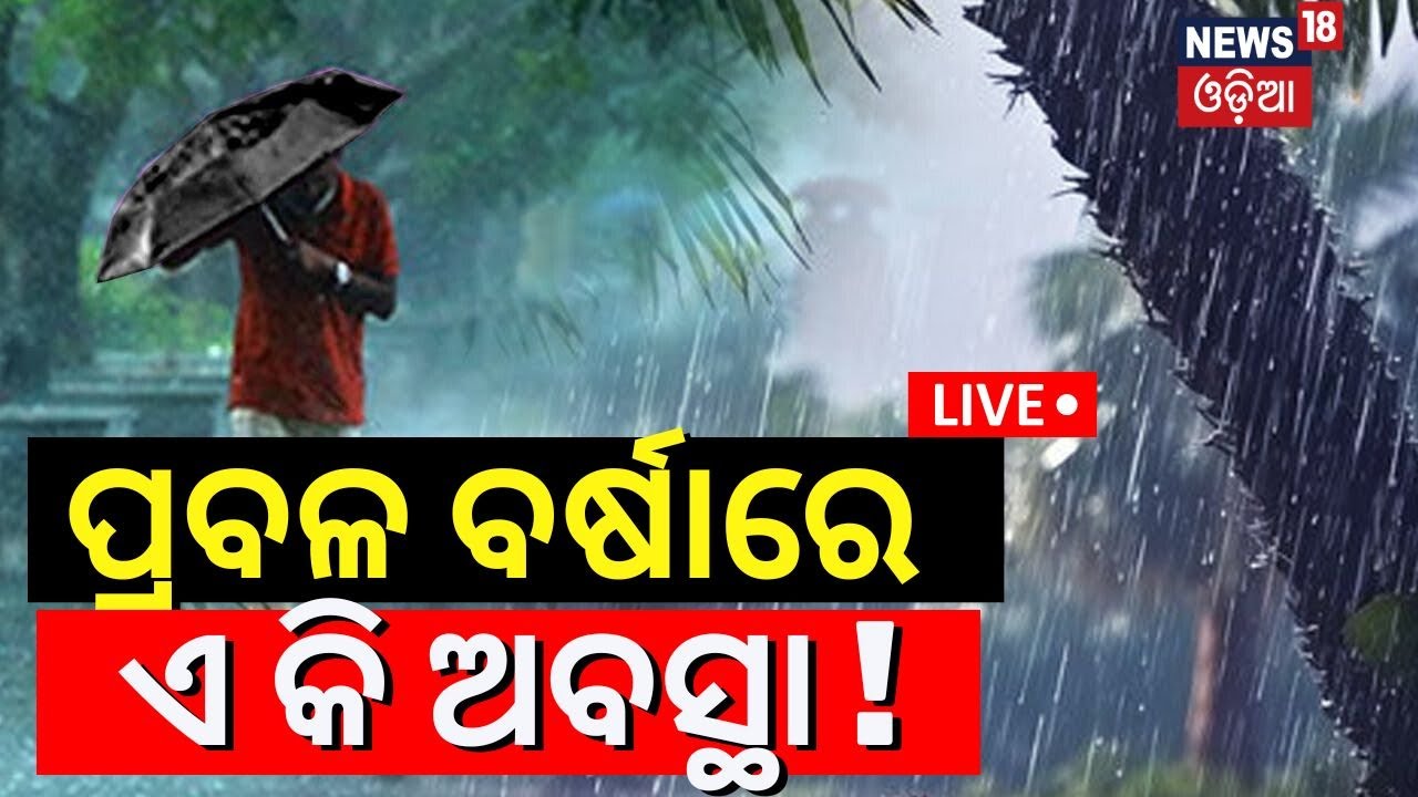 Live: ପ୍ରବଳ ବର୍ଷାରେ ଏ କି ଅବସ୍ଥା ! Heavy Rainfall In Koraput: Water Flows Over Bridge |Odisha Rain