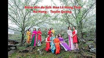 Điểm đến du lịch  Hoa Lê Hồng Thái - Na Hang -  Tuyên Quang