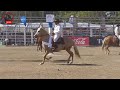 campeonatos