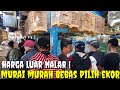 KIOS INI LAGI PUSING KEBANJIRAN BURUNG, TAK KASIH MURAH & MASIH BISA DI GOYANG