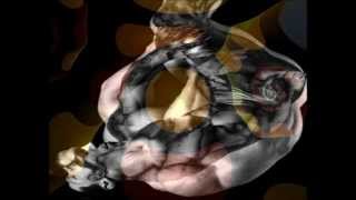 Gridlock - 36:6:115