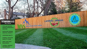 Ultimate Guide For Fall Lawn Overseeding | Step-by-Step