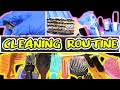 Cleaning My Hair Brushes and Combs Using Everyday Items! | iamsaekomarley