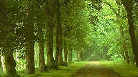 سورة الفجر • أحمد العجمي |  Ahmad Al-Ajmi • Surah Al-Fajr