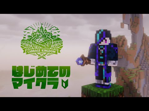 【Minecraft】タワーオブなんちゃら【建国!! キャベツキングダム】⚡Live476