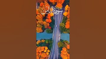 Surah Al-Falaq (سورة الفلق) is the 113th chapter of the Quran, containing 5 verses. It's a