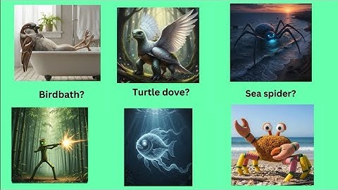 20+ Literal Vs Reality English Compound Words 