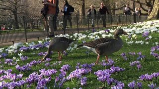 UK basks in record high winter temperatures