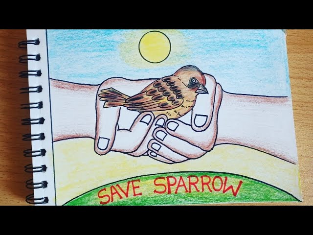 Today I made a picture of a... - Save Of Sparrow birds | Facebook