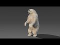 Polar bear standing animation loop | Maya arnold | CG Creature artist #stynsour