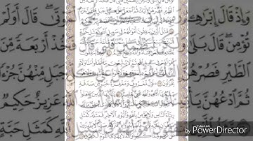 حفظ سورة البقرة الصفحة 44 بصوت القارئ ماهر المعيقلي مكررة عشر مرات