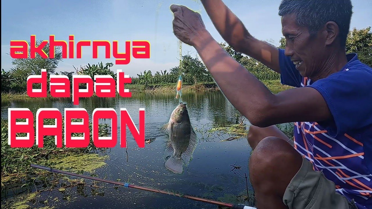 Hari kedua mancing akhirnya terangkat juga ikan NILA BABON