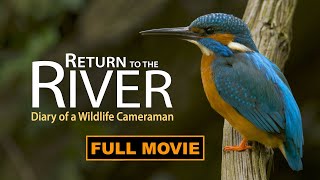 Discover the Amazing Nature of a River