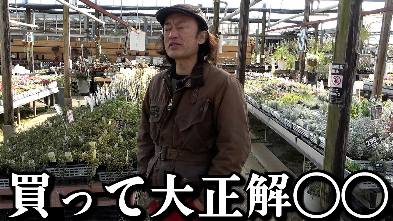 めんくん様 Buying this was the right decision!! [Carmen-kun] [Gardening