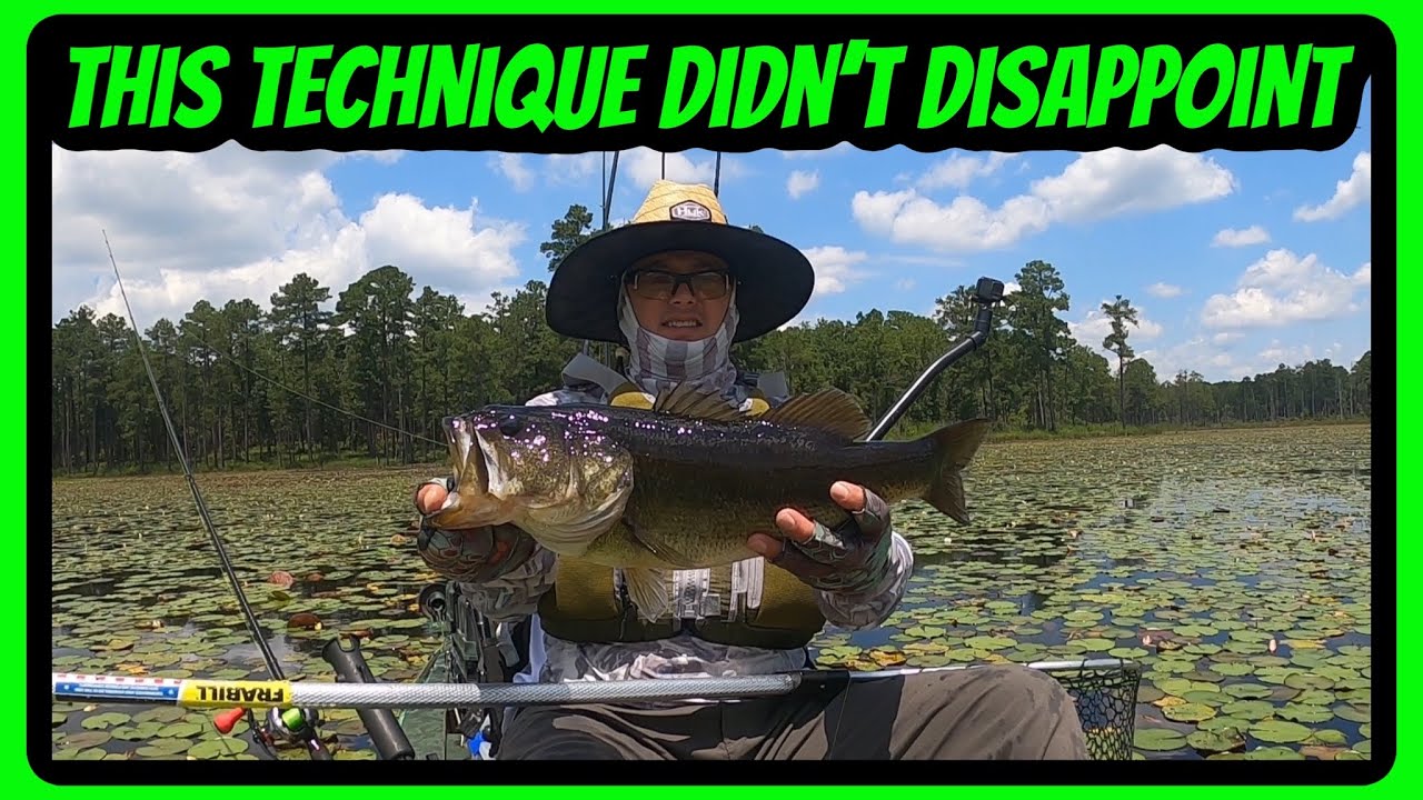 Reeling in the Excitement: Mastering Bass Fishing Beneath Lily Pads!