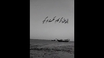 هر کس که در زمانه صاحب پول است حرف غلط اش در همه جا معقول است 