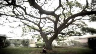 2009 Aloha United Way Campaign Video