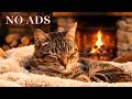 12 Hours Of Calming Music for Cats😻Anxiety Relief Music For Cats ♬ Sleep Music for Anxious Cats