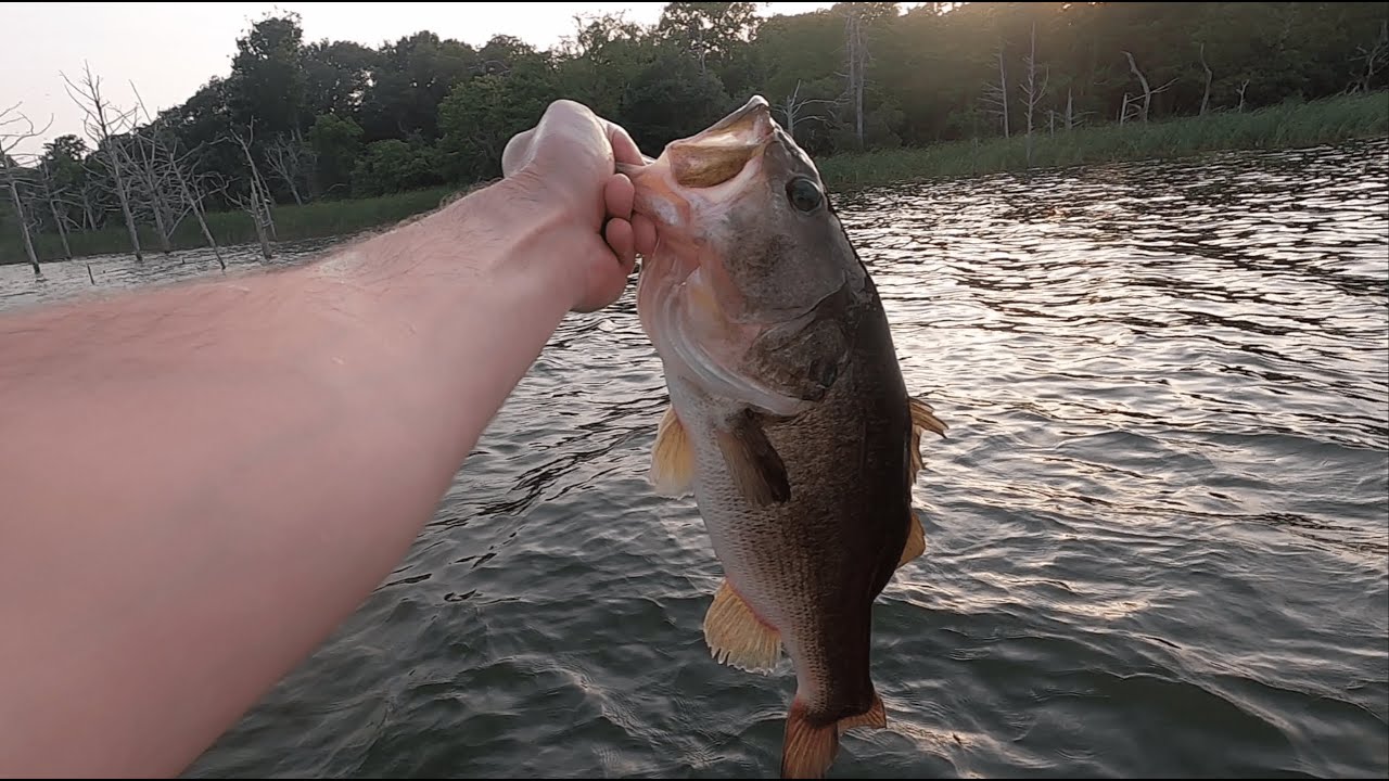 Cranking Shallow Wood for Big Bass