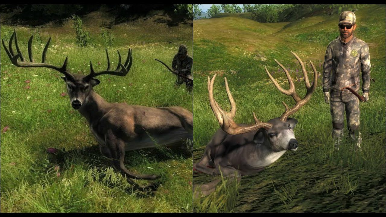 theHunter: Monster Bucks with Recurve Bows - YouTube