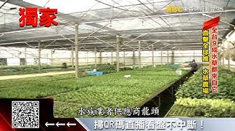 水草 Youtube