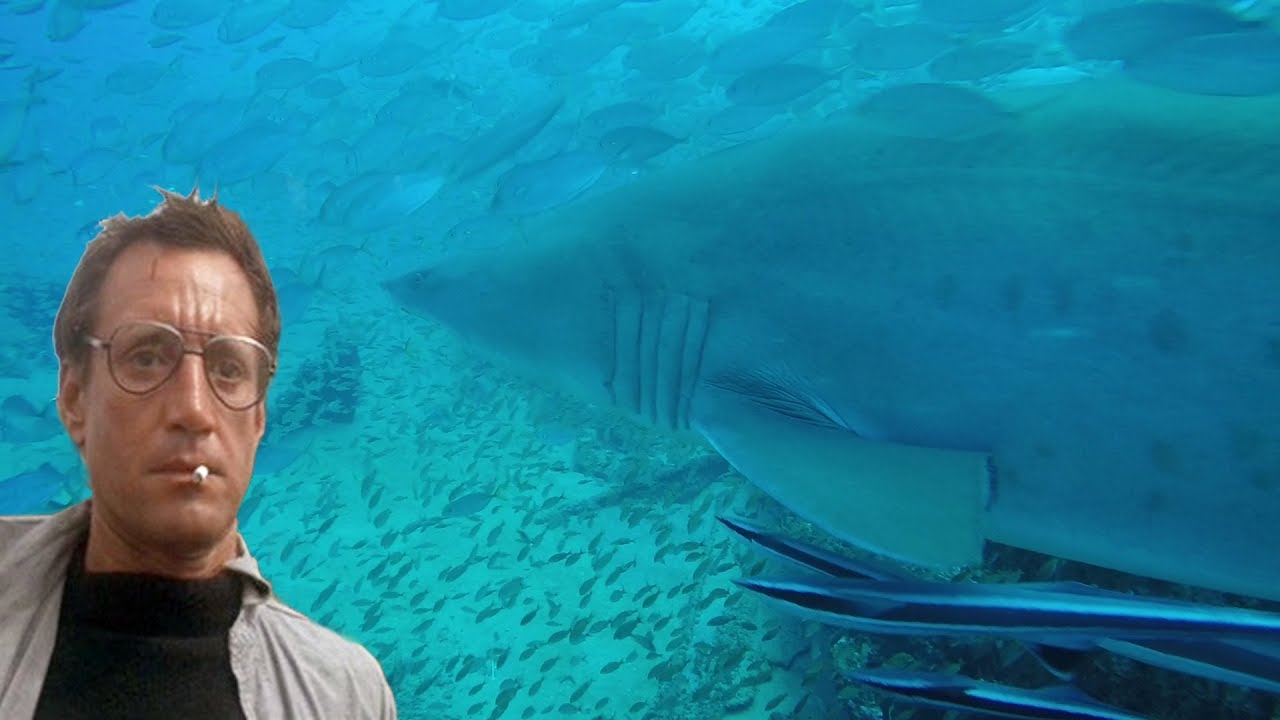 Scuba Diving WW2 Wrecks Hatteras NC Dixie Arrow Jim Baugh Outdoors JT