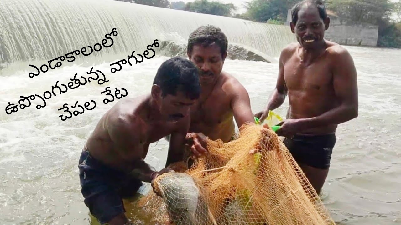 భయంకరమైన ఉప్పొంగుతున్న వాగులో చేపల వేట 🐠🐠🐟🐟