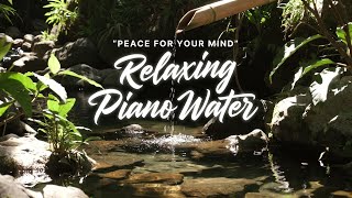 Soft Piano with Forest Water Stream 🌿 Meditation Music for Stress Relief