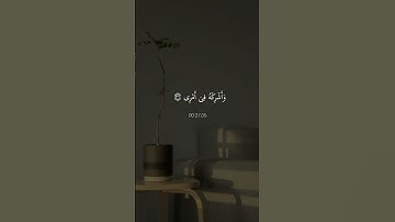 {قال رب اشرح لي صدري} (25) القارئ شريف المصطفى ❤️