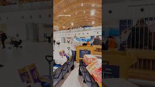 Airports accepting donations for TSA workers