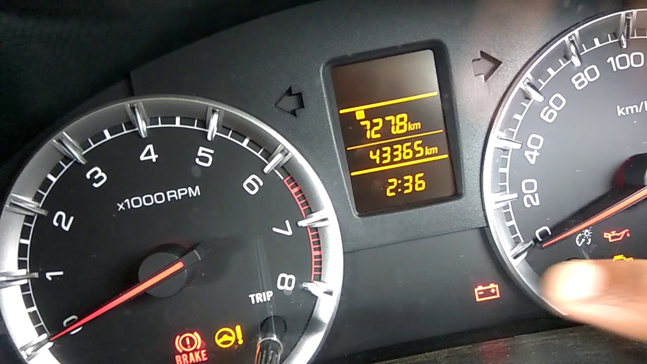 trip odometer for car