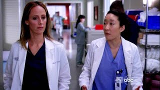 Cristina Yang x Teddy Altman (Cardio Goddess x Grey's Anatomy)  Tedstina
