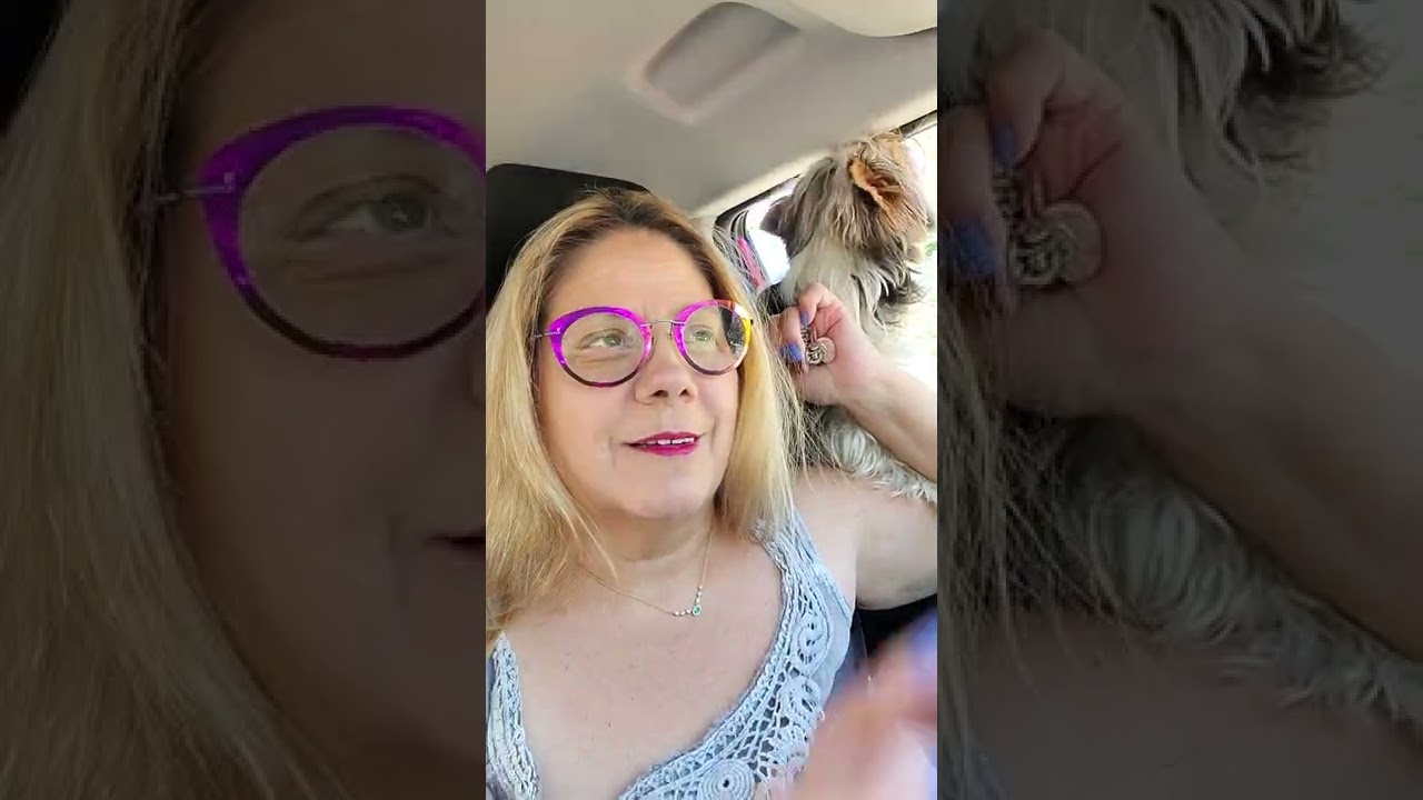 for VLOGMOS off to groomers. 