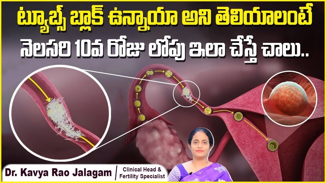 ట్యూబ్స్ బ్లాక్ అని తెలియాలంటే | Blocked Fallopian Tubes: Symptoms and Treatment | Oasis Fertility