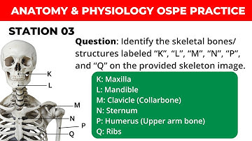 Anatomy & Physiology OSPE Practice: Essential Exam Questions & Answers