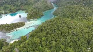 Raja Ampat &amp; the &#39;Wallace Inlet&#39;