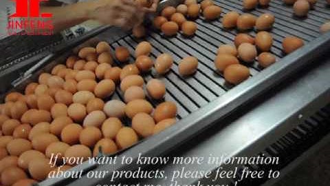 Chicken Cages Egg Collection System Manure Removal System Poultry Equipment