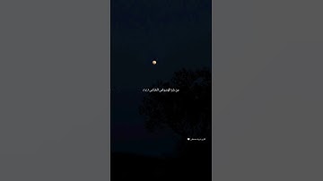حالات واتس اب بصوت جميل جدا القارئ شريف مصطفى 💙🕊