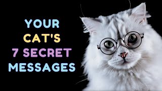 WHAT is Your Cat REALLY THINKING? 😼 (Backed by Science)