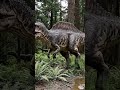 The towering neural spine ridge running Acrocanthosaurus's entire back — whether a muscular hu
