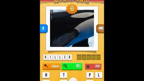 Zoom Quiz Levels 111-120 Answers