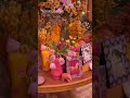 haldi ceremony professional decoration wedding planner @Featurebright event management details..