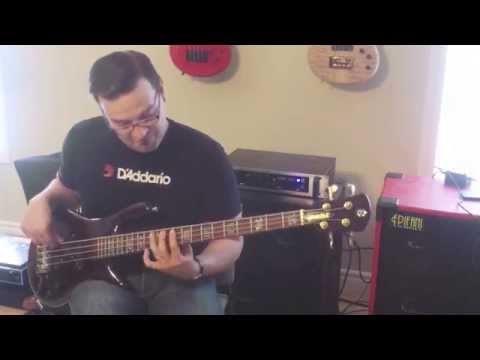 Ultimate Basses: Spector NS-2 Bass