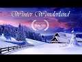 ❄❄❄ Winter Wonderland ❄❄❄ Calming Music ♫ ♬ for Relaxation and Stress Relief ||► 95 min